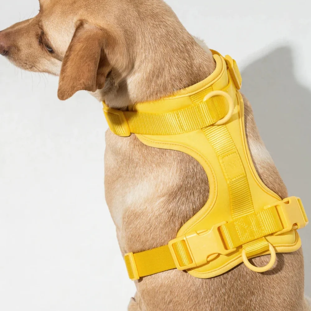 Wild One Limited Edition Dog Harness